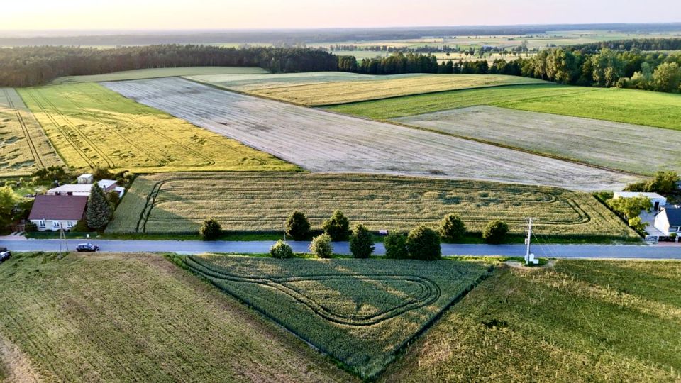 Działka Bieździadów