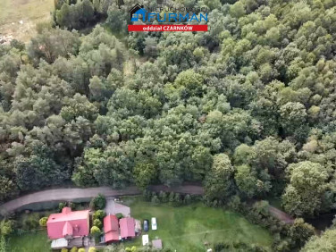 Działka leśna Straduń