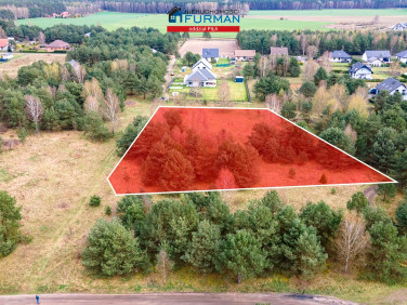 Działka Skórka