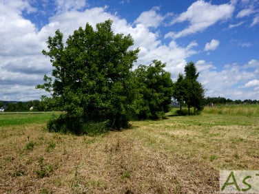 Działka Bolechowice