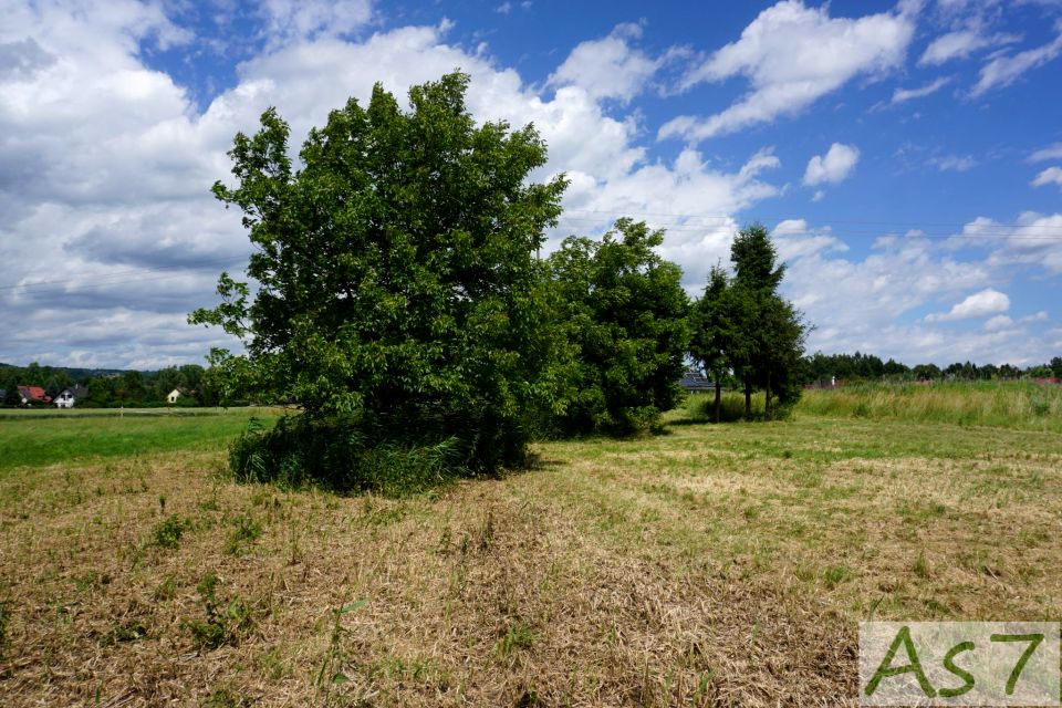 Działka Bolechowice