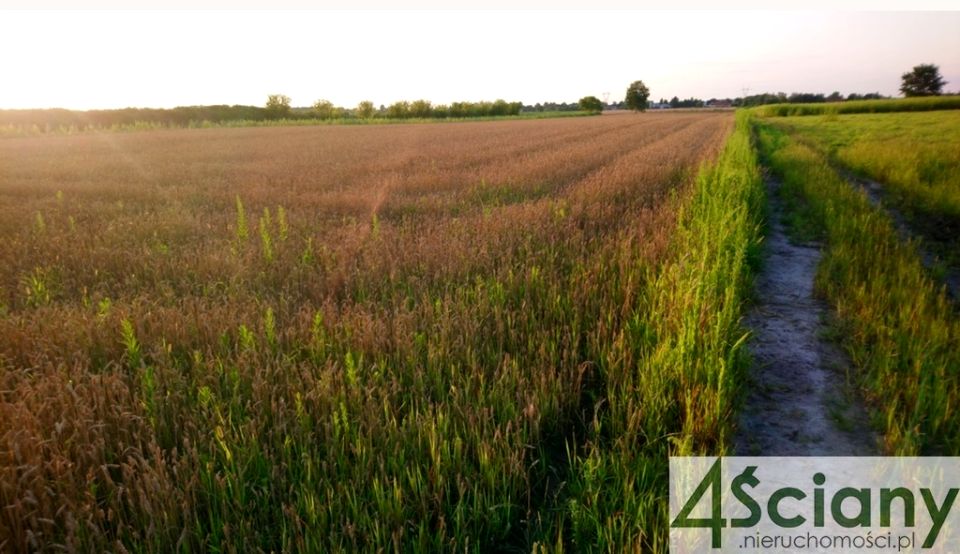 Działka budowlana Błonie