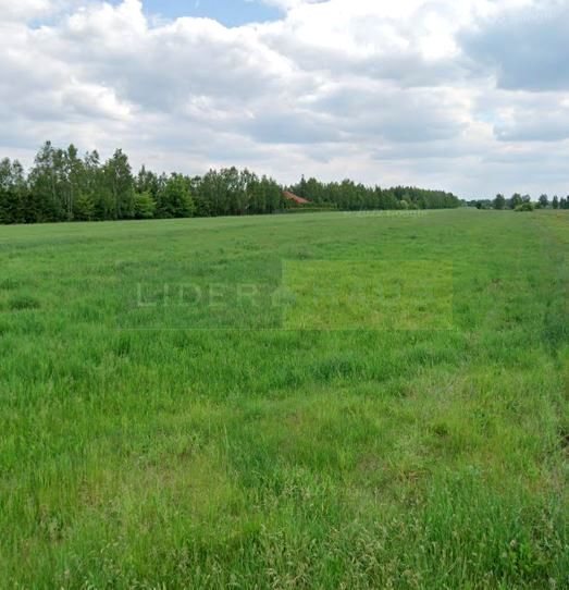 Działka budowlana Cybulice Małe
