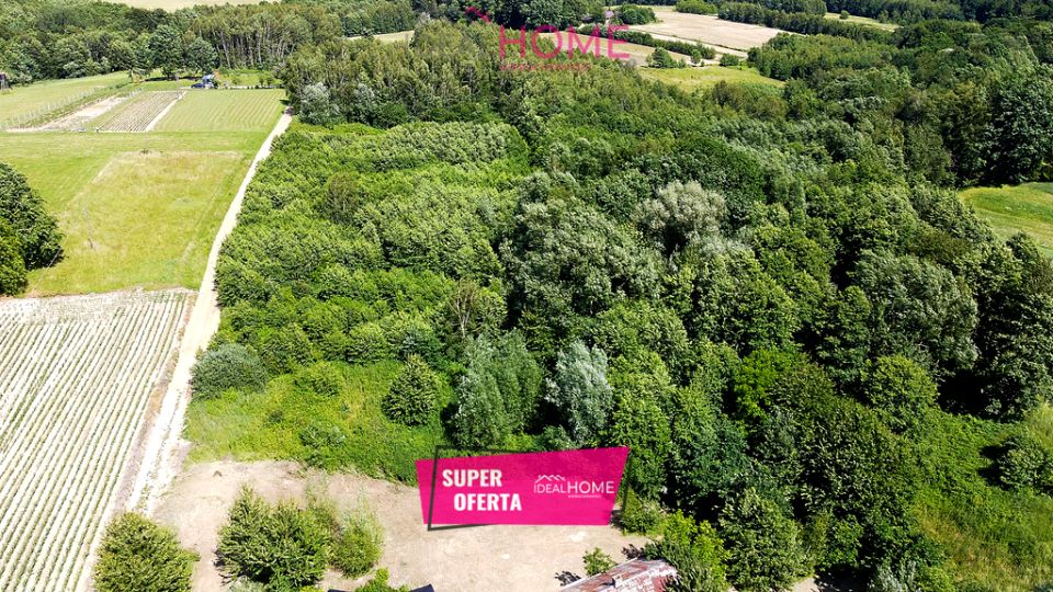 Działka budowlano-rolna Wola Rafałowska
