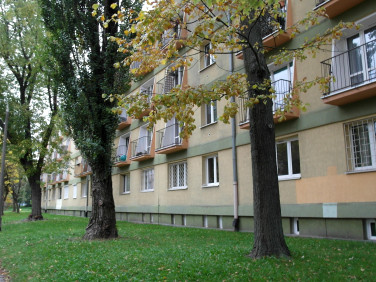 Mieszkanie Łódź