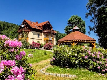 Lokal Jelenia Góra sprzedaż