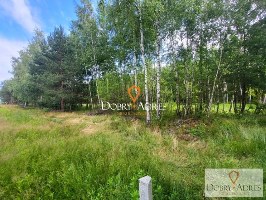 Pusta działka Budy Głogowskie