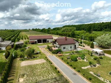 Dom Wilków Drugi