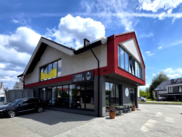 Lokal Kraków