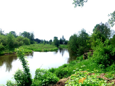 Dom Strachów