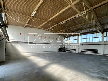 Lokal Warszawa