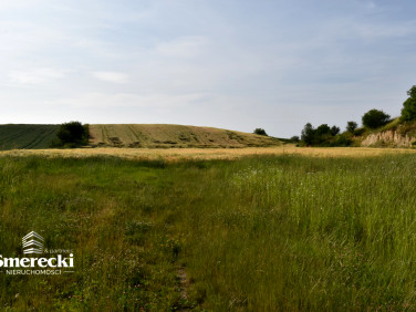 Działka Nieledew
