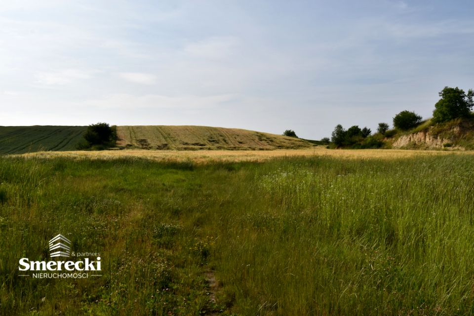 Działka Nieledew