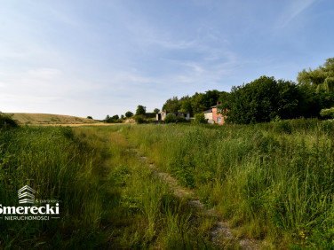 Działka Nieledew