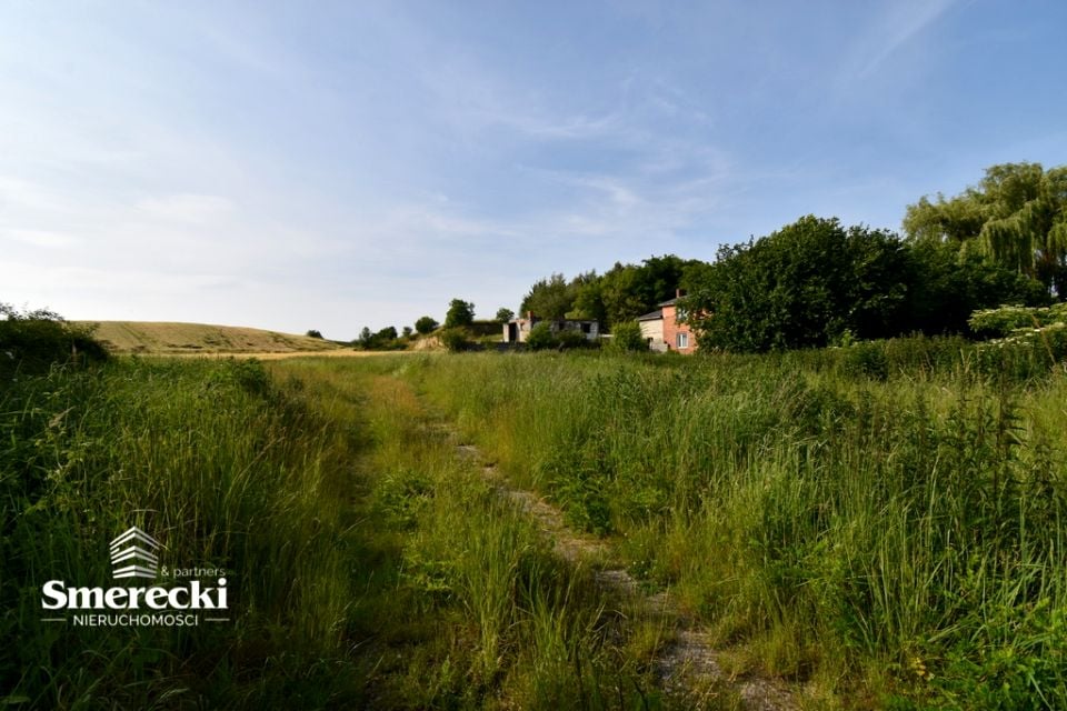 Działka Nieledew