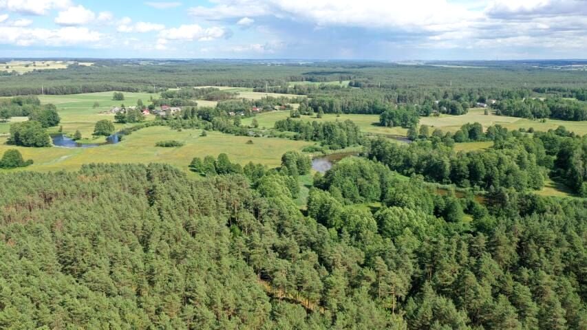 Działka leśna Jurki