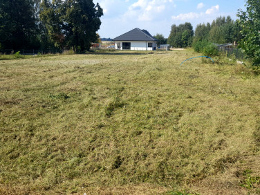 Działka siedliskowa Kotły sprzedam