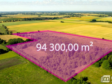 Działka Maszewo