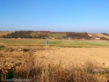 Działka budowlana Żerkowice