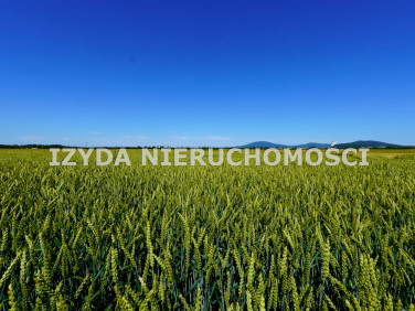 Działka budowlana sprzedam