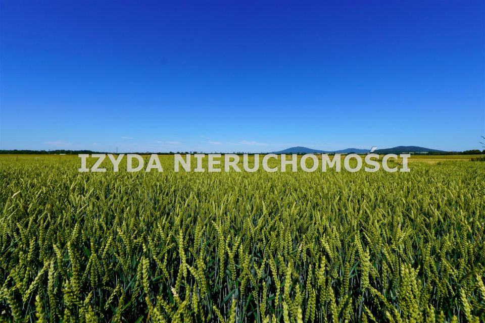 Działka budowlana sprzedam