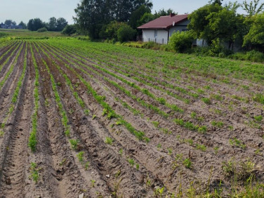 Działka budowlana Podolszyn