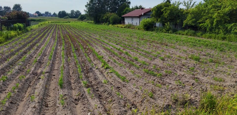 Działka budowlana Podolszyn
