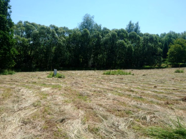 Działka inna Cieszyn