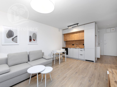 Mieszkanie apartamentowiec wynajem