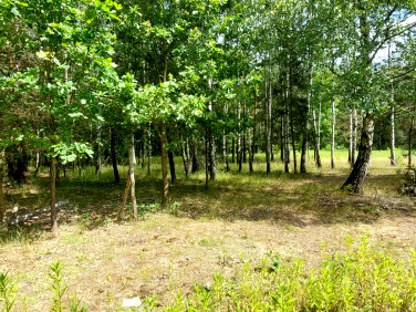 Działka budowlana Wincentówek
