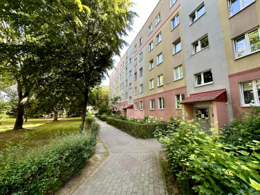 Mieszkanie Rzeszów