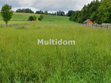 Działka budowlana Dzięgielów