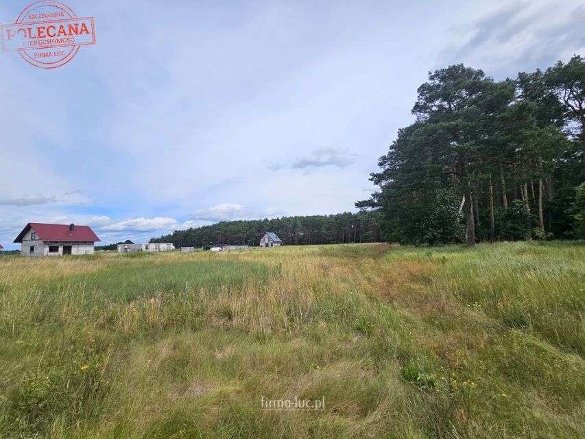 Działka Murzynowo
