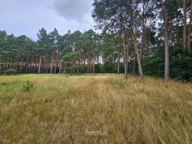 Działka Murzynowo