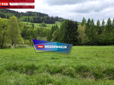 Działka Świerki
