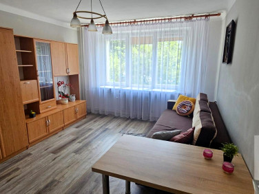 Mieszkanie Kielce