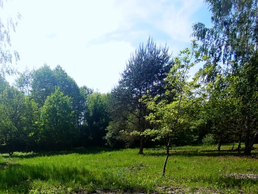 Działka budowlana Rusiec
