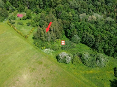 Działka Borownica