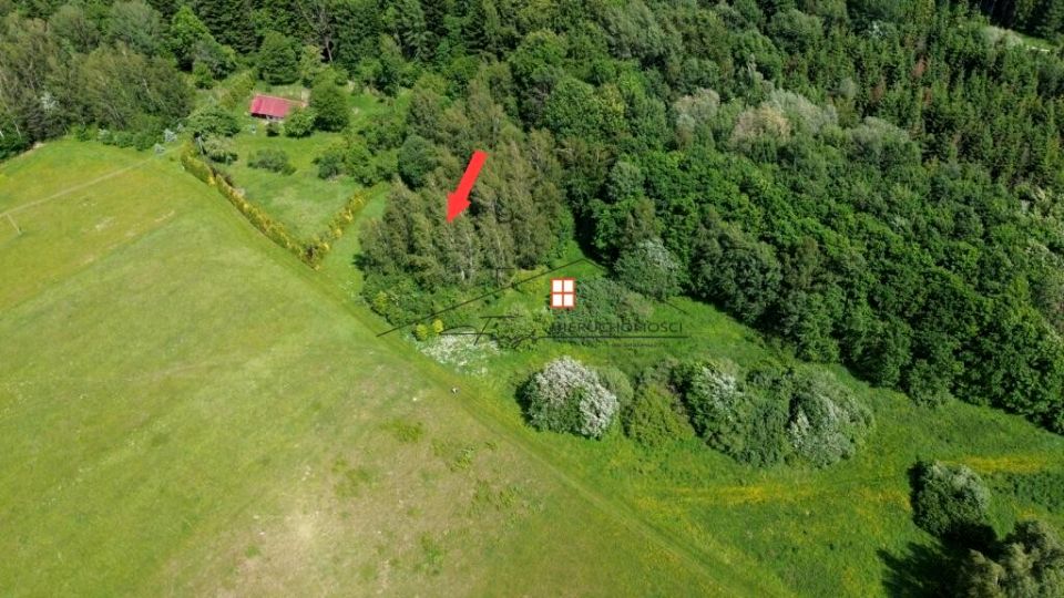 Działka Borownica