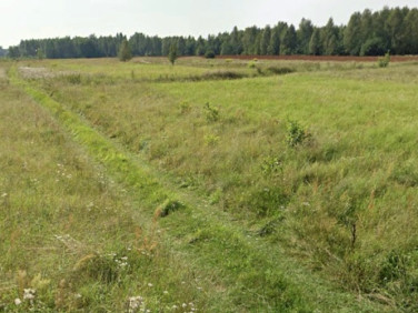 Działka inna Rusinów