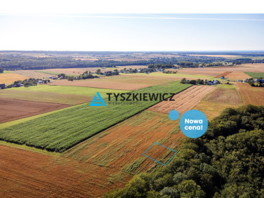 Działka rolna Lisewo
