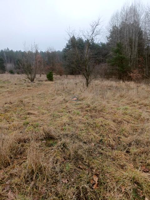 Działka Zawady