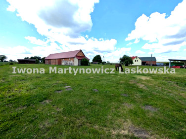Budynek użytkowy Żabice sprzedaż