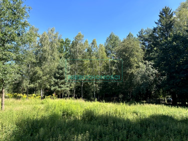 Działka Adamów-Wieś