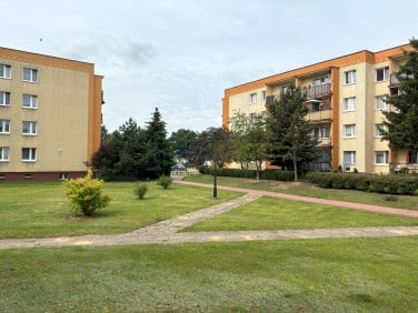 Mieszkanie Nowy Dwór Mazowiecki