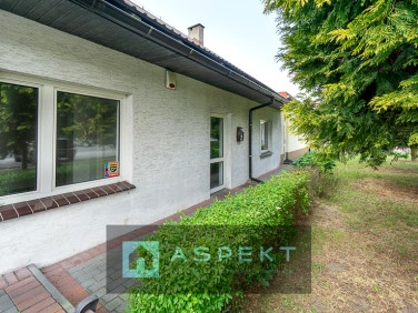 Lokal Opole