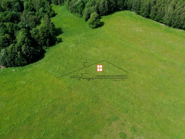 Działka Borownica