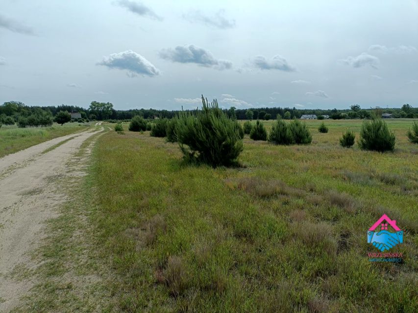 Działka budowlana Rosocha-Kolonia