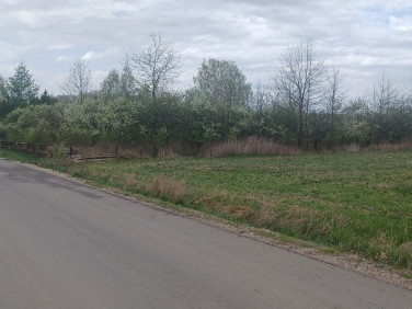 Działka Błeszno