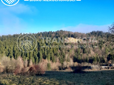 Działka budowlana Huta Brzuska